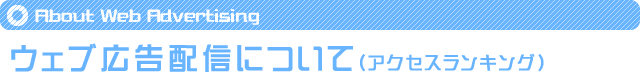 ウェブ広告配信のご紹介(アクセスランキング)